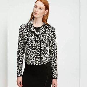 Ann Taylor Leopard Print Knit Moto Jacket Ponte Sz M